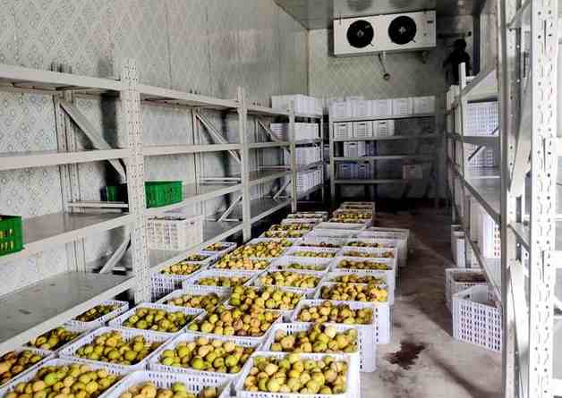 果蔬冷庫 果蔬冷庫