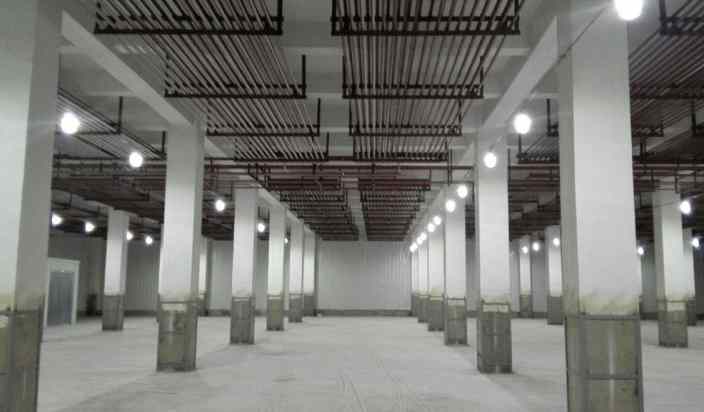 黃瓜冷庫保鮮技術(shù)要求有哪些