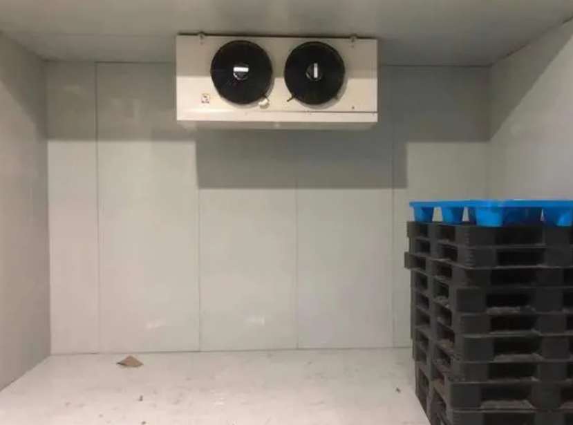 冷庫(kù)保鮮粽子需要多少度